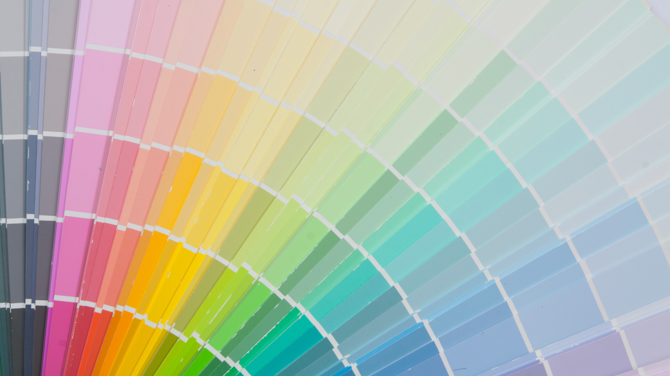 Discover the Art of Choosing the Right Paint Colour for Your Space